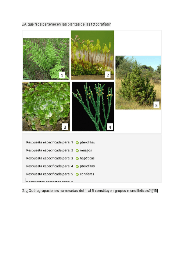 Miniatura del documento test-teoria-14.pdf