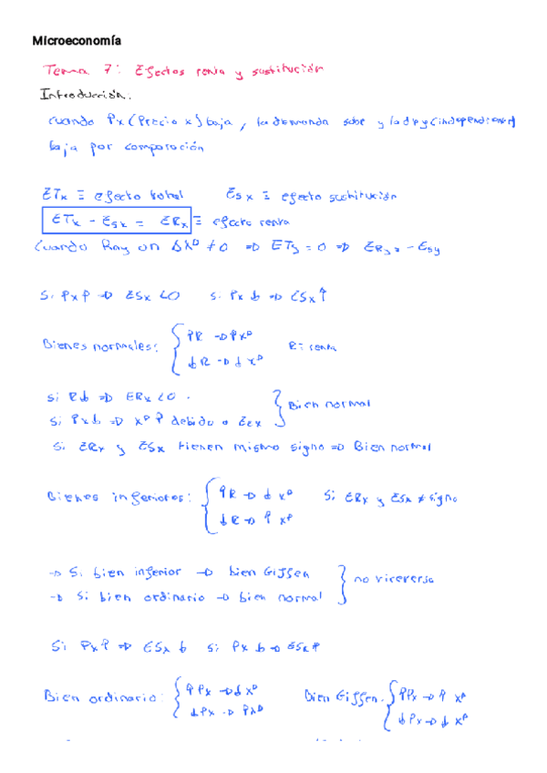 Miniatura del documento Resumen-Maestro-Micro.pdf