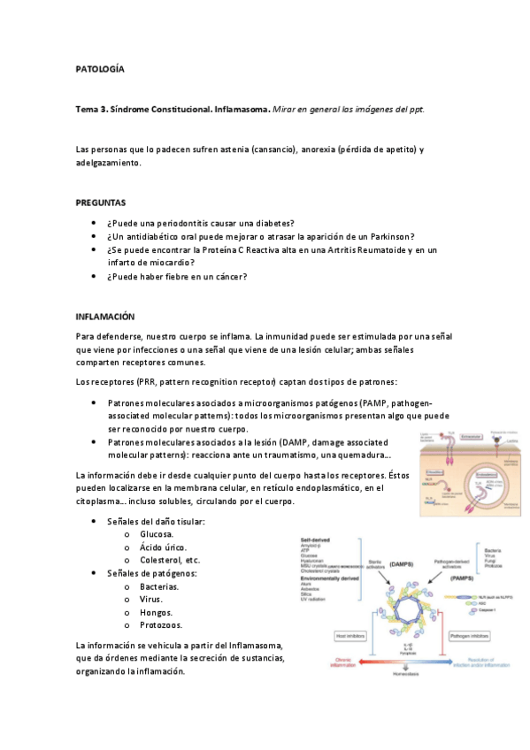 Miniatura del documento Semiología-Tema 3-Síndrome constitucional.pdf
