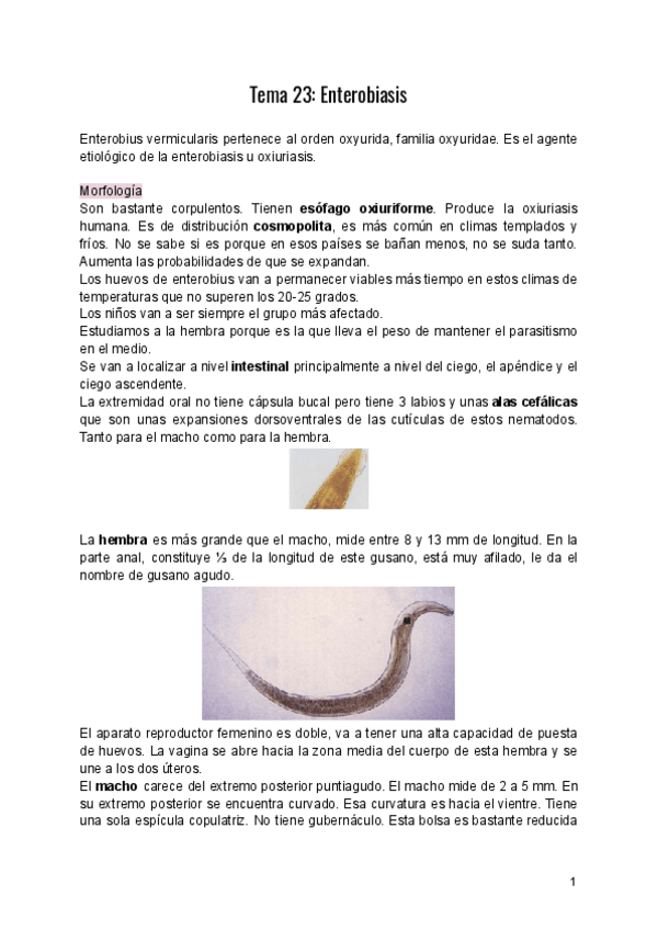 Miniatura del documento Tema-23-Enterobiasis.pdf