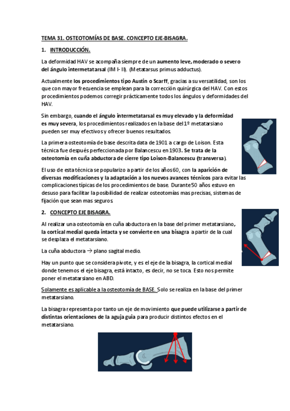 Miniatura del documento TEMA-31.pdf