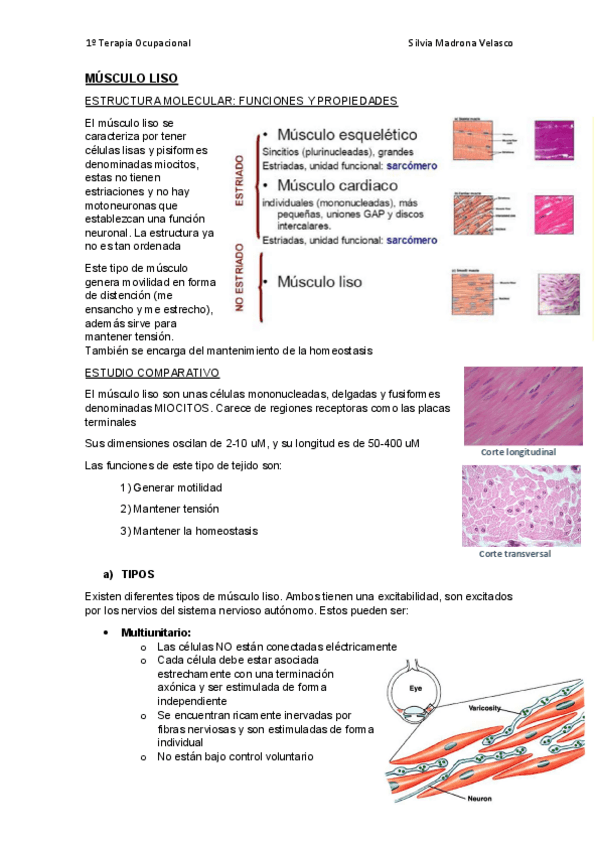 Miniatura del documento Tema-3.pdf