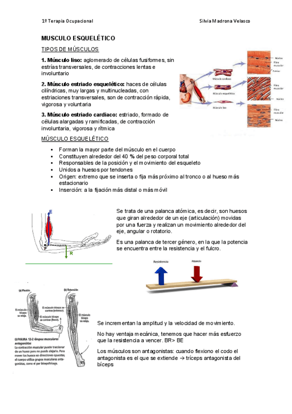 Miniatura del documento Tema-3.pdf