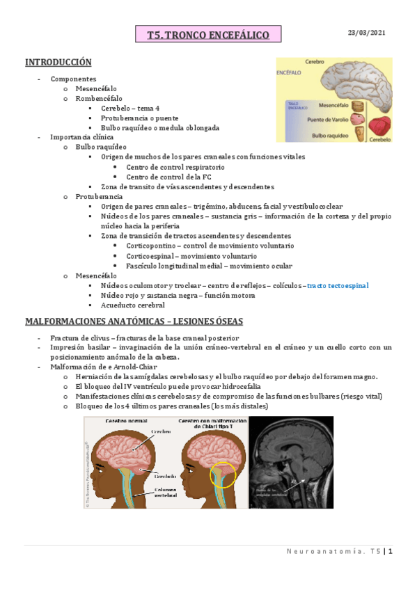 Miniatura del documento T5.pdf