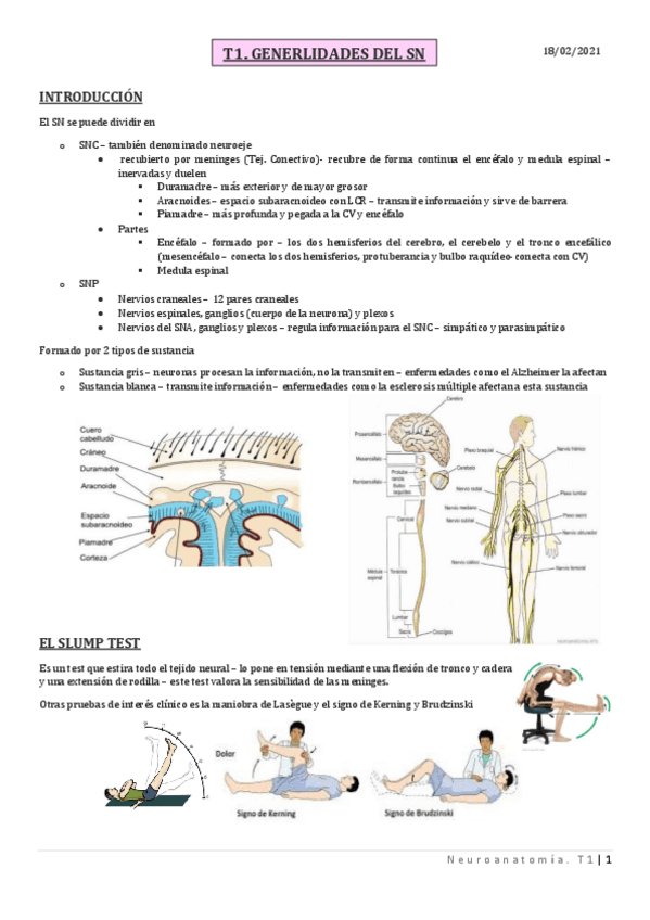 Miniatura del documento T1.pdf