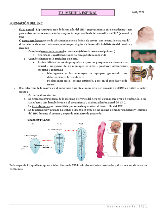 Miniatura del documento T3.pdf