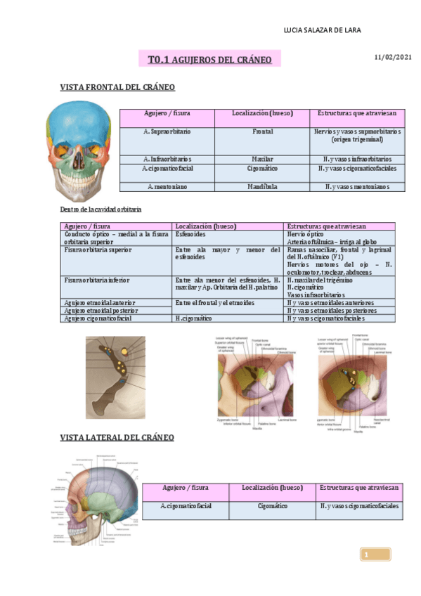 Miniatura del documento T0.pdf