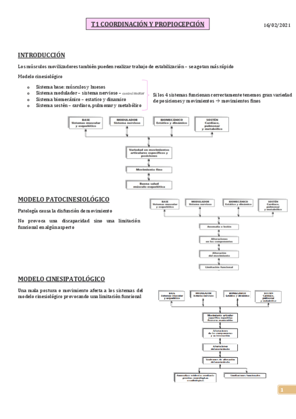 Miniatura del documento T1.pdf