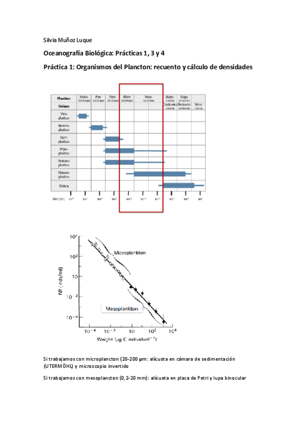 Miniatura del documento Practicas-1-3-y-4-silvia-munoz.pdf