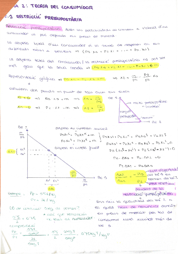 Miniatura del documento tema-2-teoria-del-consumidor.pdf