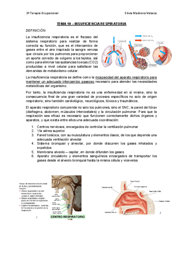 Miniatura del documento TEMA-10.pdf