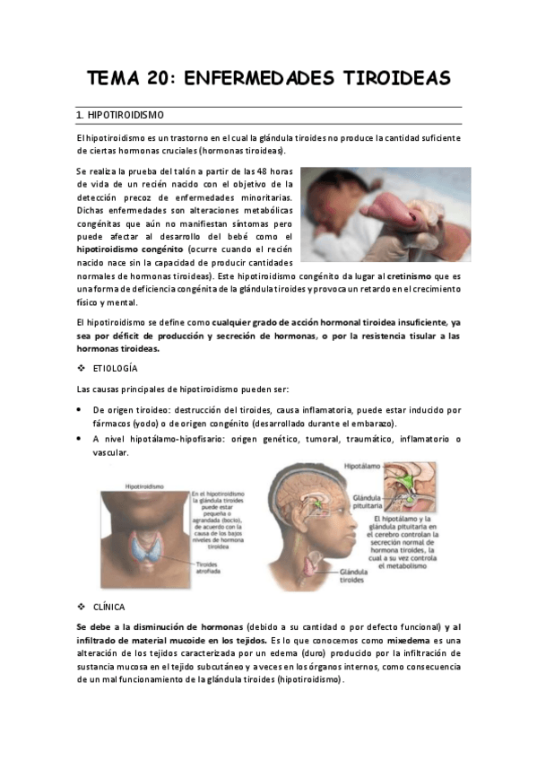 Miniatura del documento Resumen-tema-20.pdf