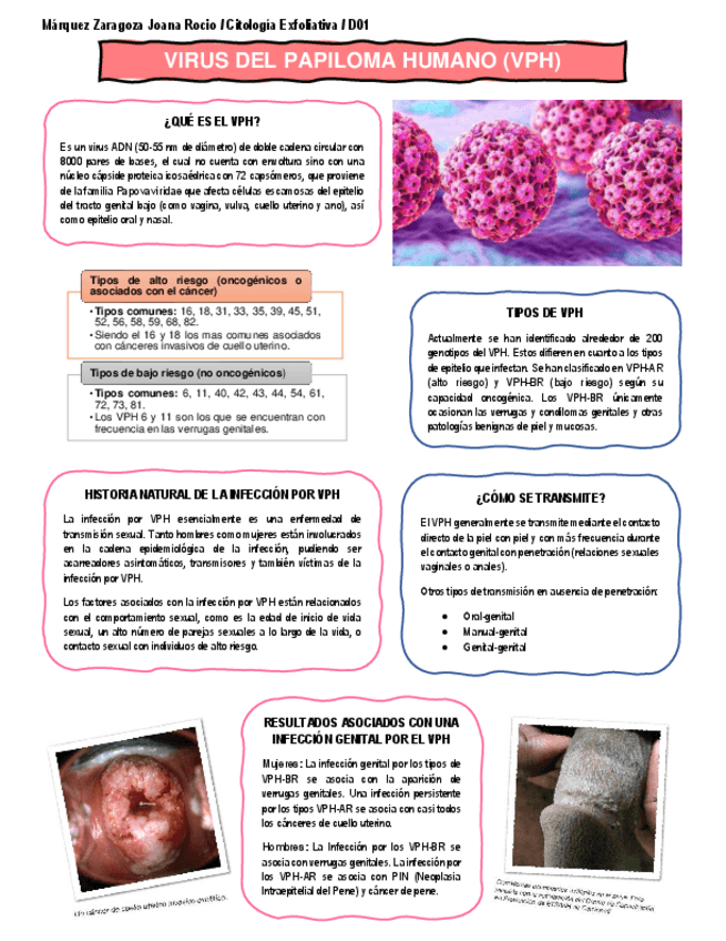 Miniatura del documento INFOGRAFIA-VIRUS-DEL-PAPILOMA-HUMANO-VPH.pdf