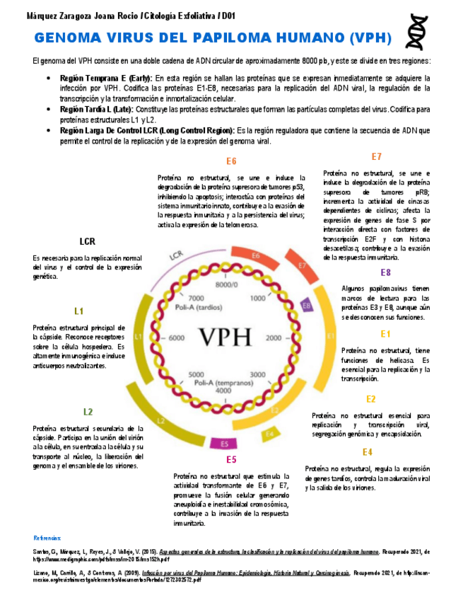 Miniatura del documento GENOMA-VIRUS-DEL-PAPILOMA-HUMANO-VPH.pdf