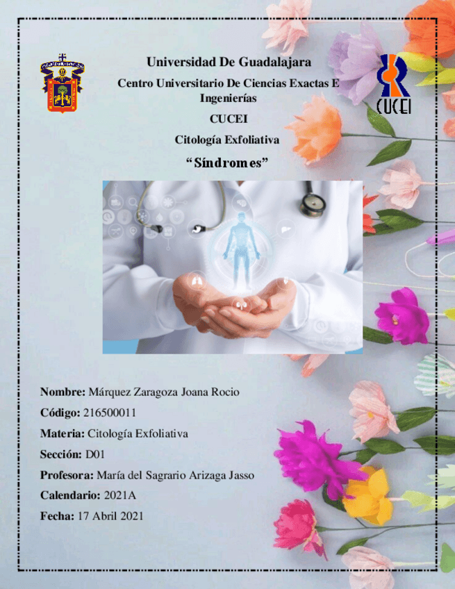 Miniatura del documento Investigacion-Sindromes-Citologia-Exfoliativa.pdf