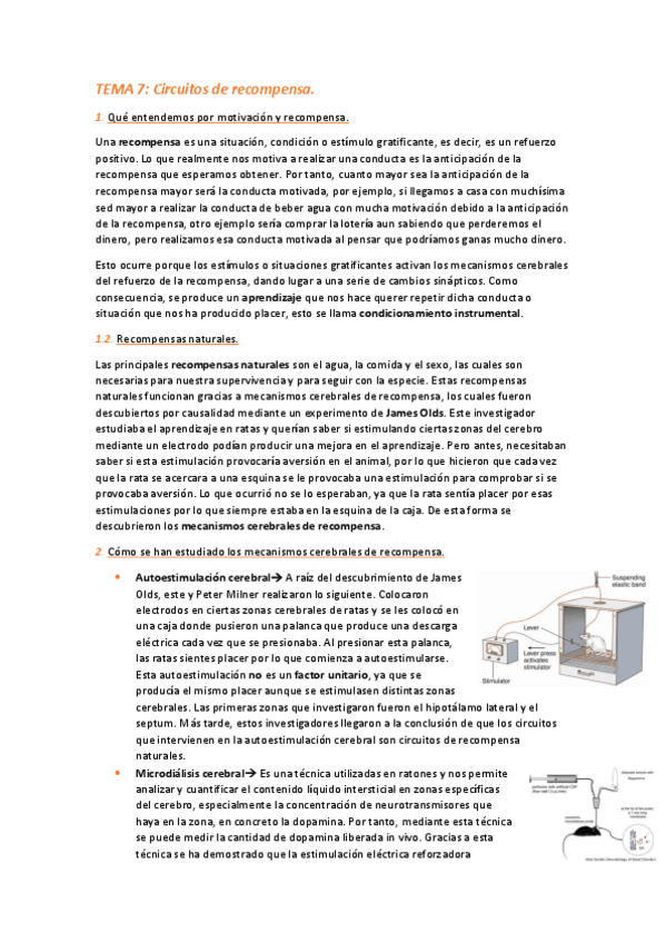 Miniatura del documento TEMA-7-Circuito-de-la-recompensa.pdf