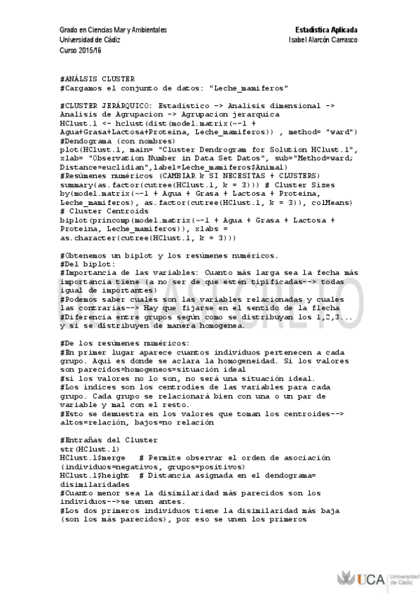 Miniatura del documento Cluster ISA.pdf