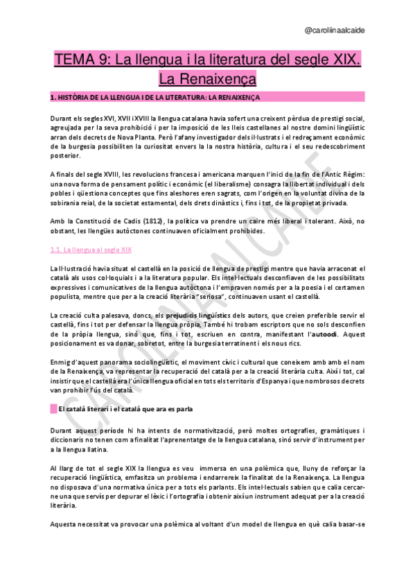Miniatura del documento Tema-9-La-llengua-i-la-literauta-del-segle-XIX.pdf