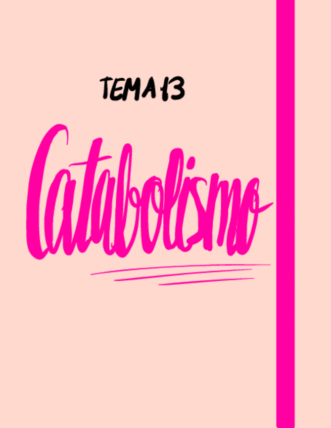 Miniatura del documento Tema-13.pdf