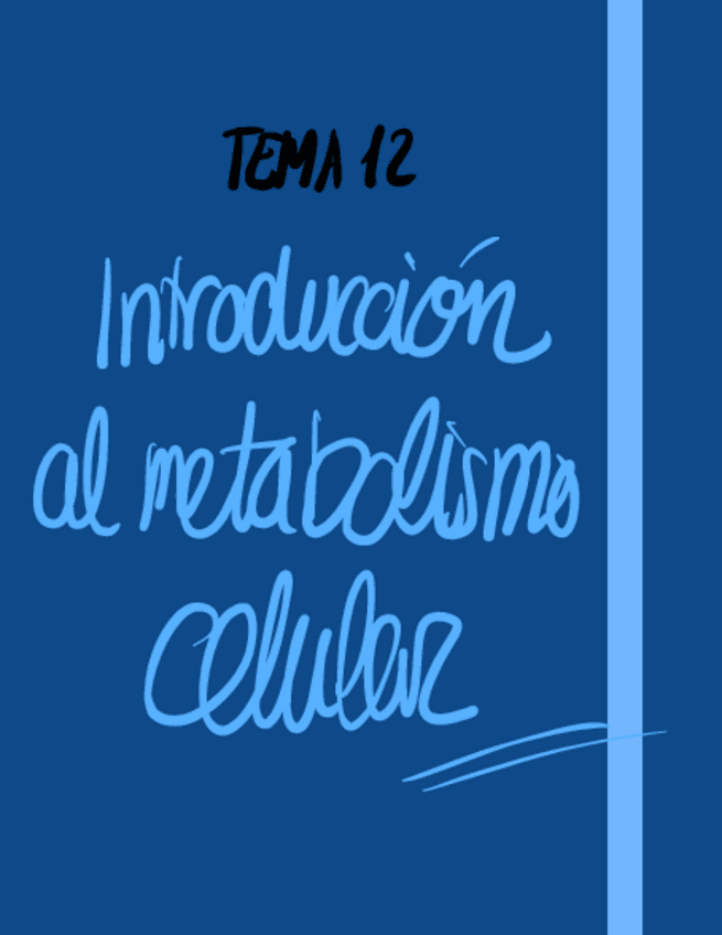 Miniatura del documento Tema-12.pdf