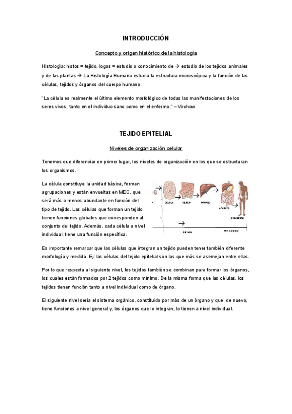 Miniatura del documento TEJIDO_EPITELIAL.pdf