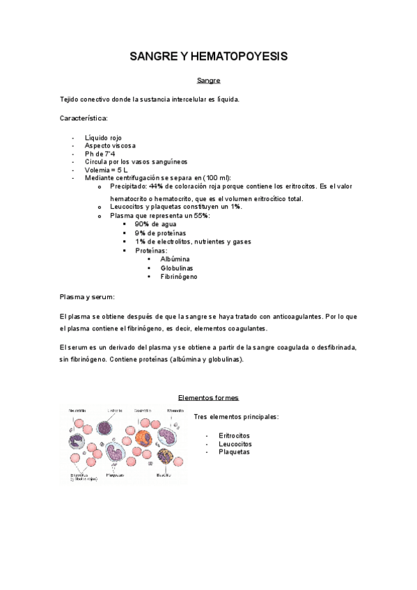 Miniatura del documento SANGRE.pdf