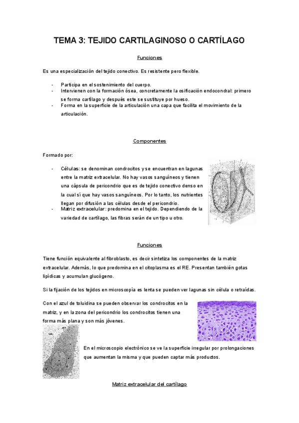 Miniatura del documento TEJIDO_CARTILAGINOSO.pdf
