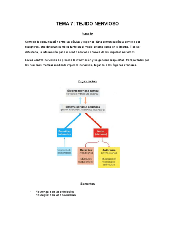 Miniatura del documento TEJIDO_NERVIOSO.pdf
