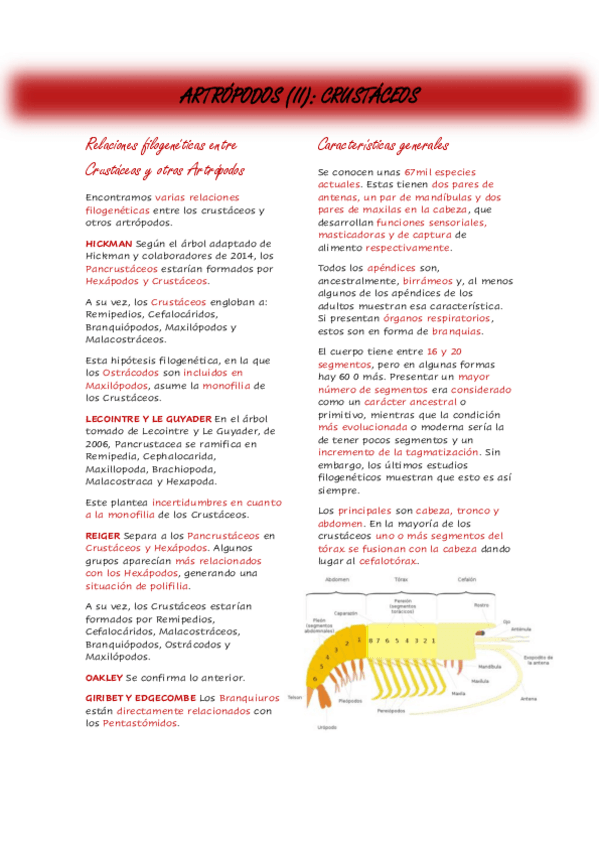 Miniatura del documento Tema-8.pdf