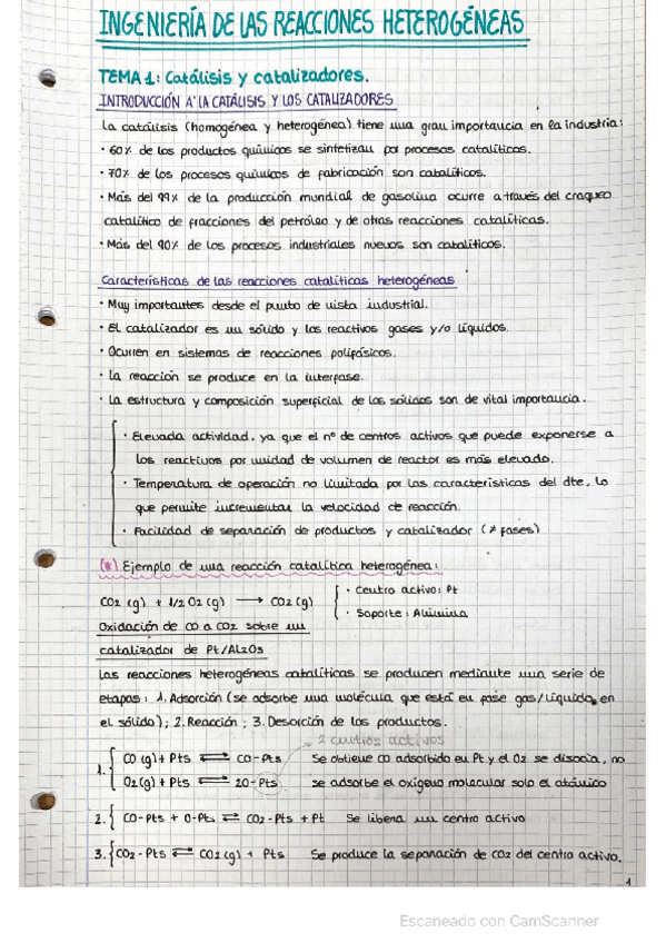 Miniatura del documento IRHE-APUNTES-todos-los-temas.pdf