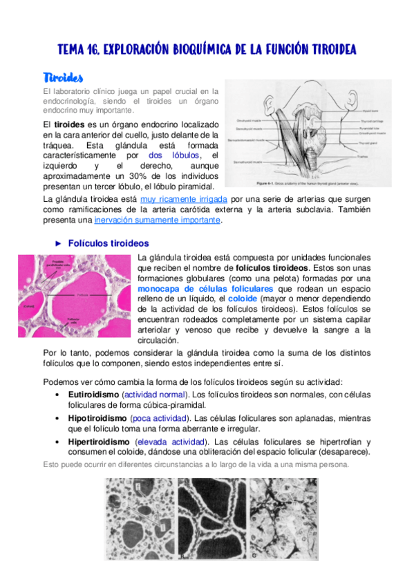 Miniatura del documento TEMA-16.pdf