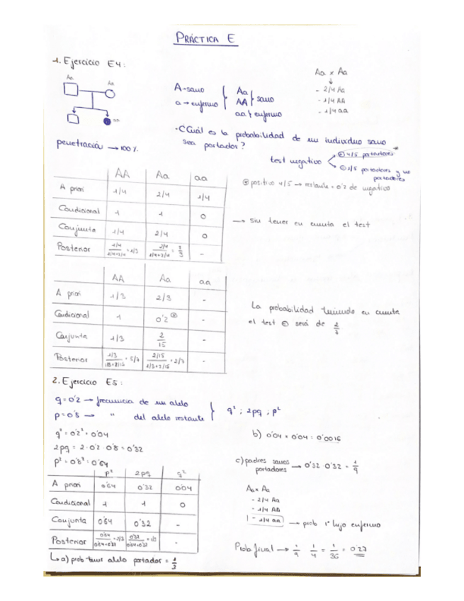 Miniatura del documento PRACTICA-E.pdf