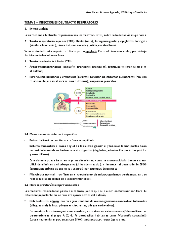 Miniatura del documento TEMA-3-INFECCIONES-DEL-TRACTO-RESPIRATORIO.pdf