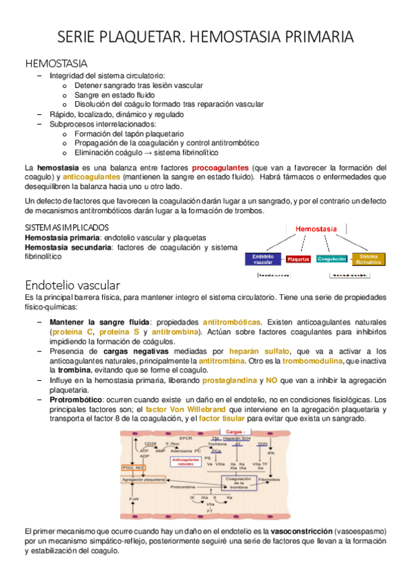 Miniatura del documento SERIE-PLAQUETAR.pdf