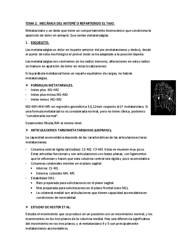Miniatura del documento TEMA-2.pdf