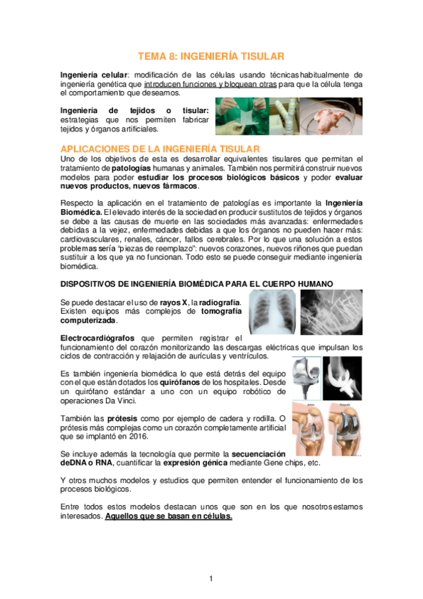 Miniatura del documento TEMA-8.pdf