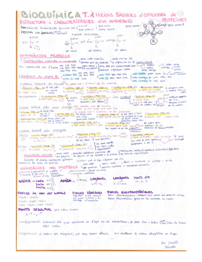 Miniatura del documento LEU-PHE-VAL.pdf