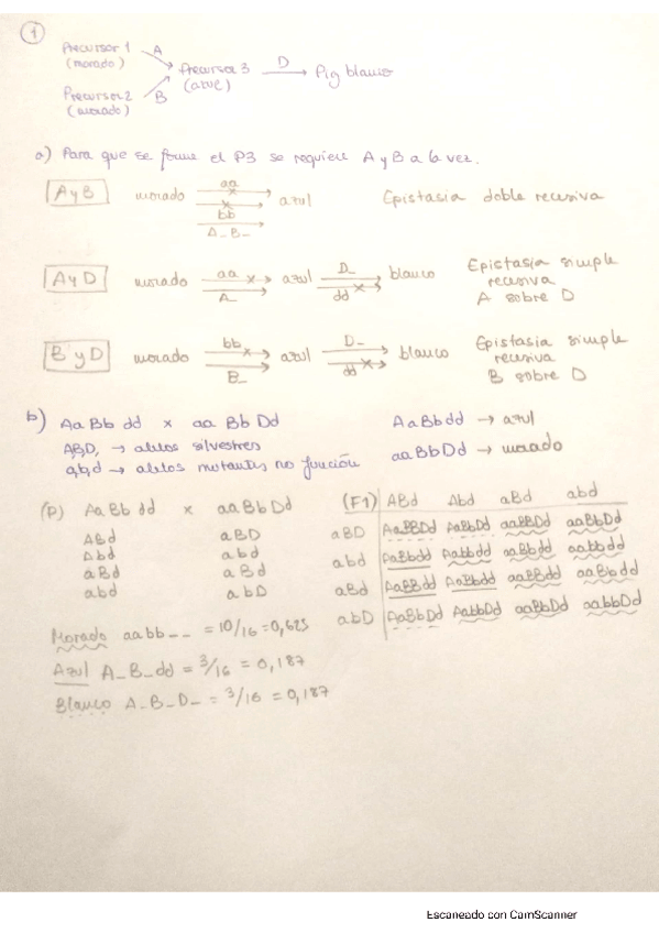 Miniatura del documento Examen-2020-Genetica-II.pdf