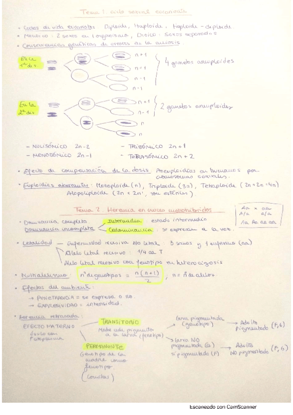 Miniatura del documento Esquemas-2020-cosas-importantes-para-problemas-Genetica-II.pdf