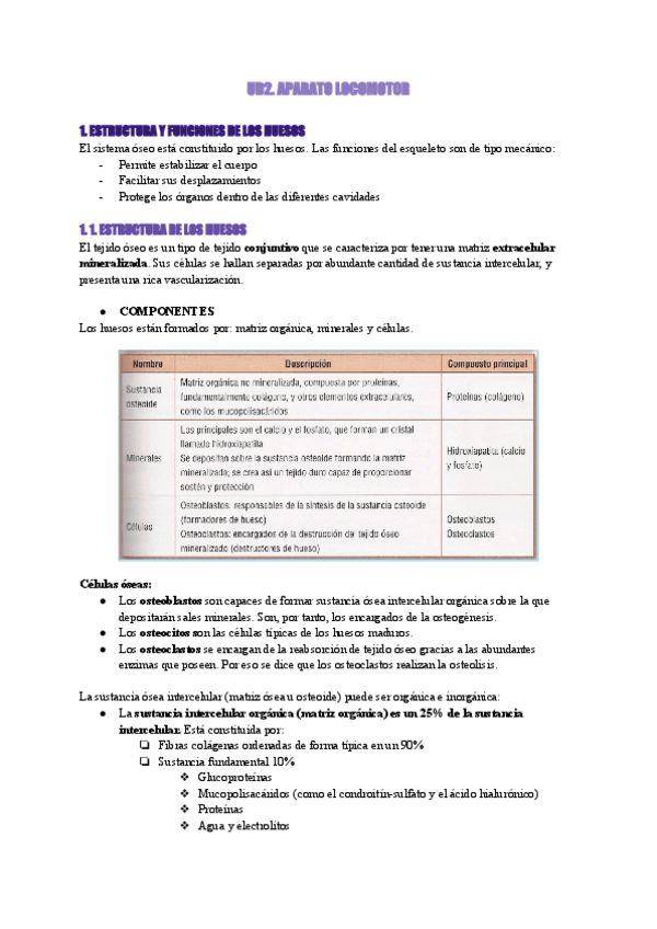 Miniatura del documento T2.pdf