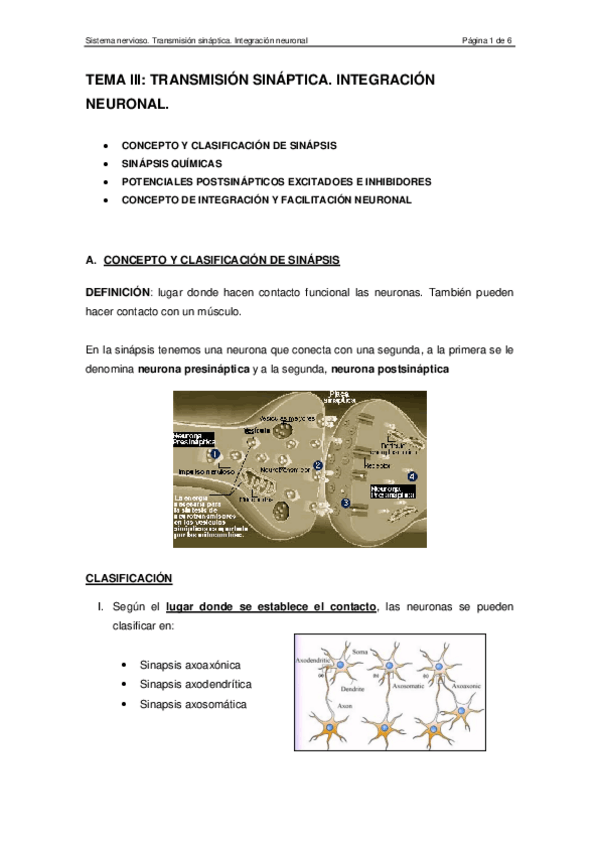 Miniatura del documento transmisionsinapticaintegracionneuronal.pdf