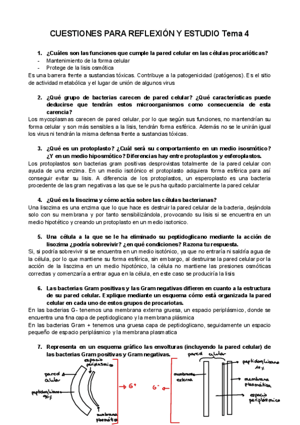 Miniatura del documento Cuestiones-para-el-estudio-tema-4.pdf