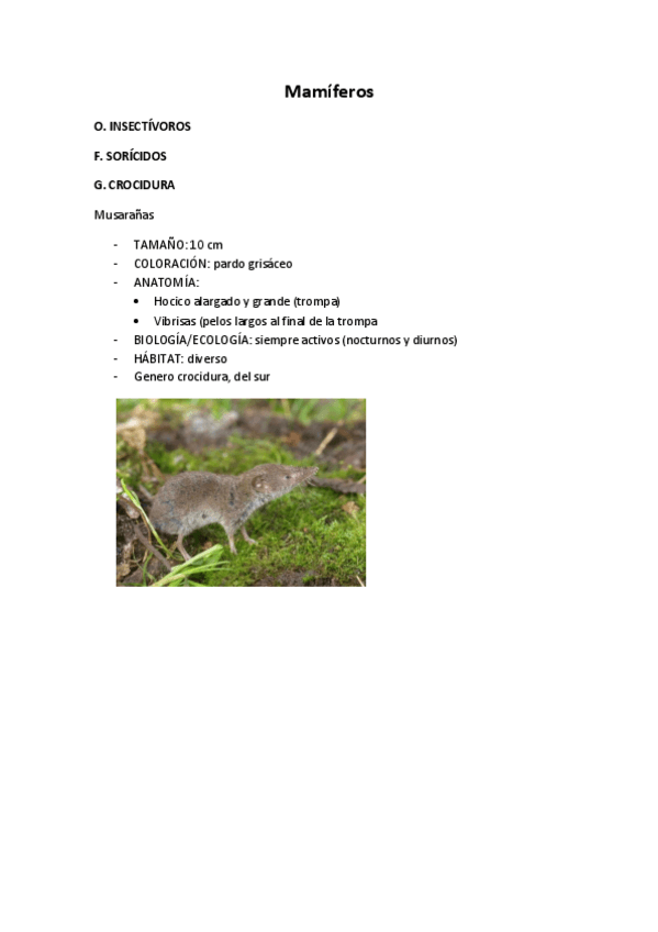 Miniatura del documento Mamiferos.pdf