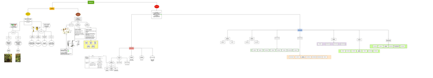 Miniatura del documento Botanica-2o-Parcial-Esquema.pdf