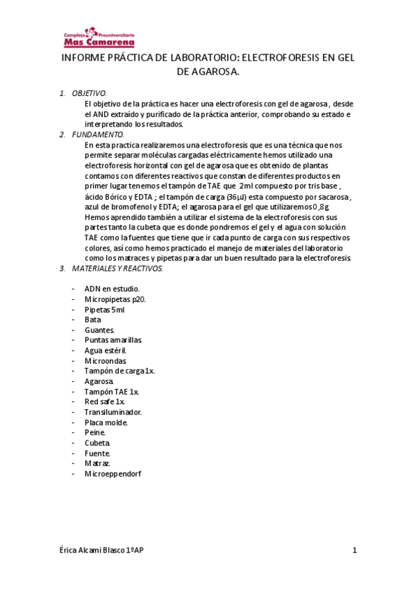 Miniatura del documento INFORME-DE-ELECTROFORESIS.pdf