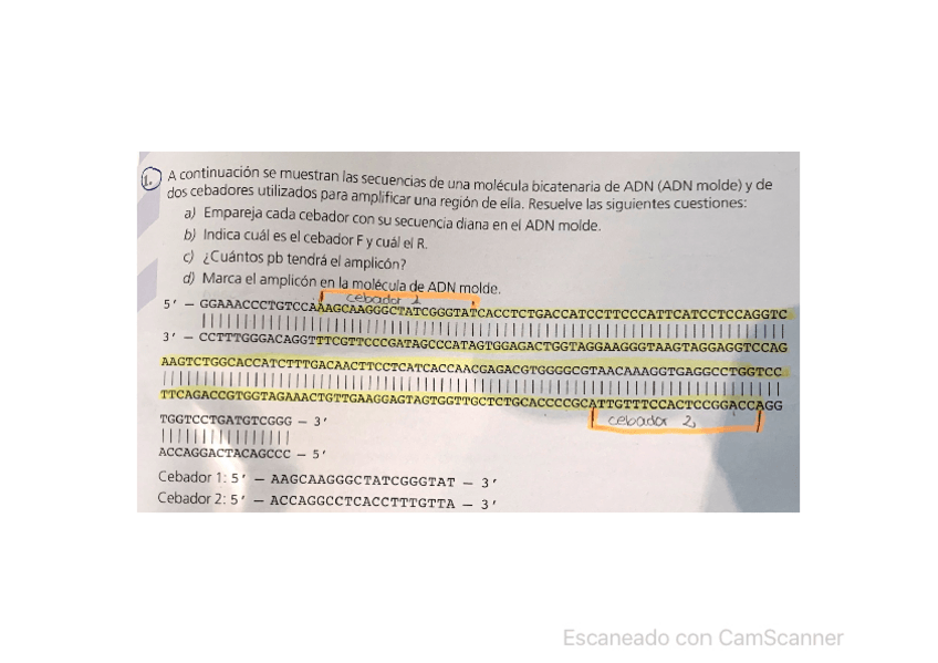 Miniatura del documento actividades-tema-lessPCR.pdf