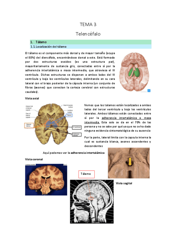 Miniatura del documento TEMA-3.pdf