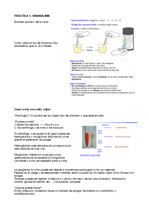 Miniatura del documento PRACTICAS-PATOLOGIA-GENERAL.pdf