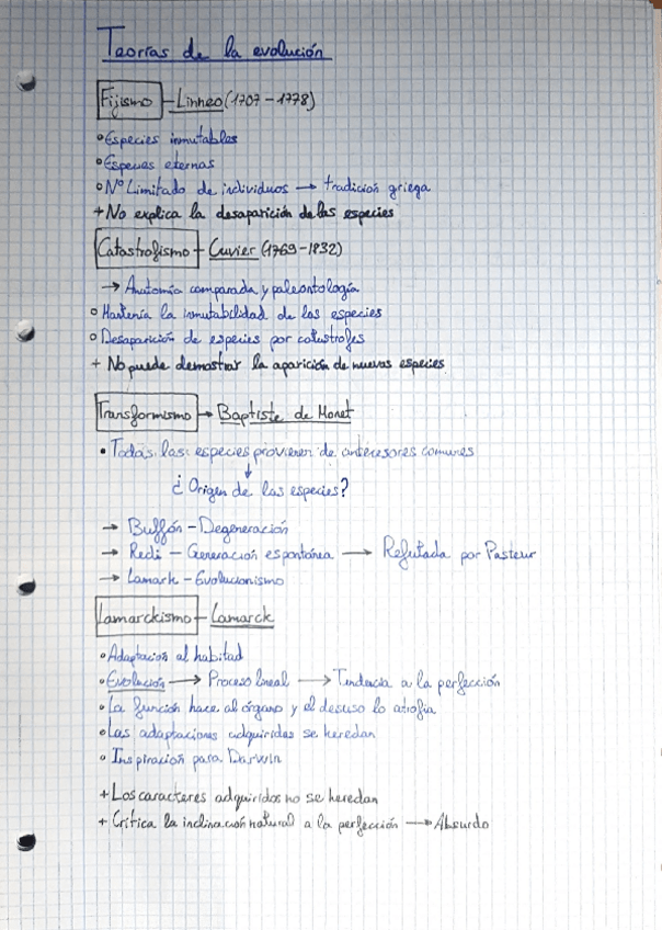 Miniatura del documento filo-1.pdf