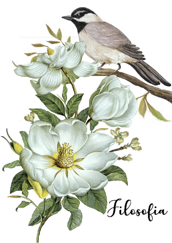 Miniatura del documento filo-todo-para-selek.pdf